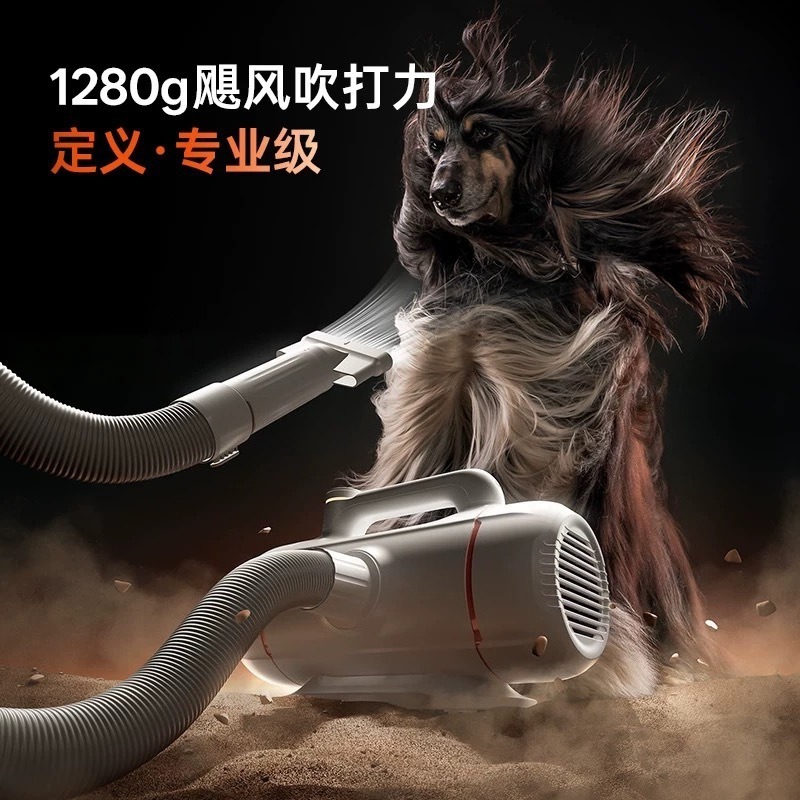 반려동물 목욕용 블로우 드라이어, 듀얼 모터 고출력 헤 - Workshop Tools And Equipment 리뷰 및 가격